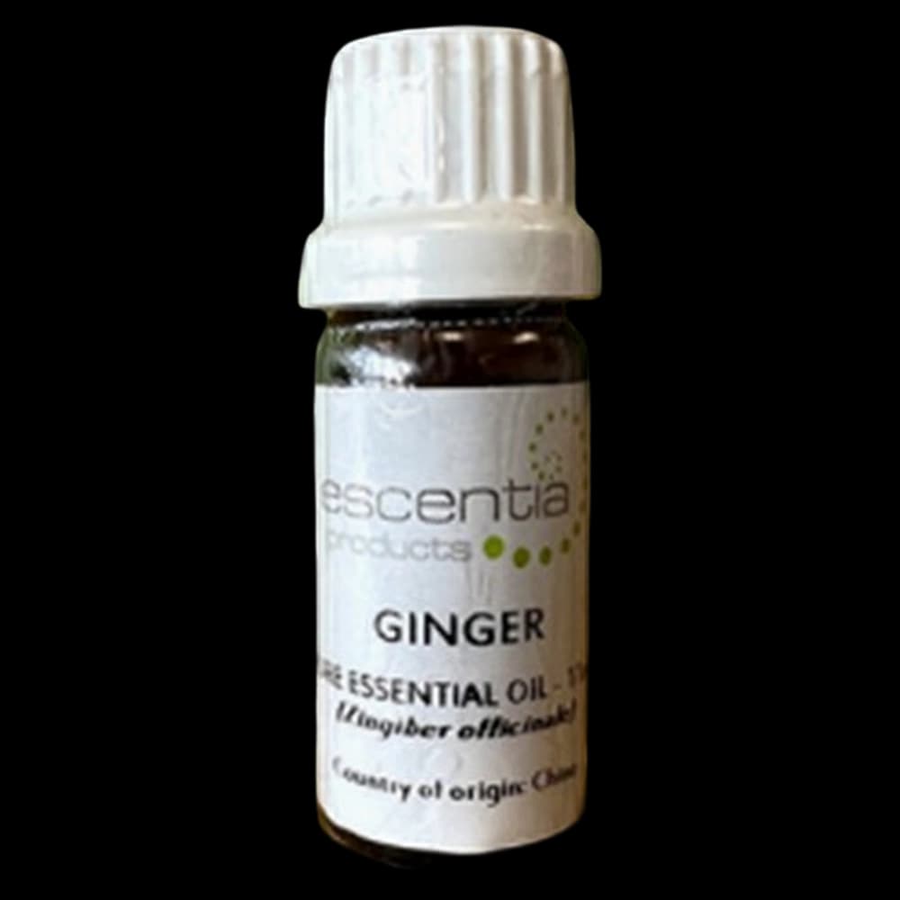 Essential Oil Ginger 11ml