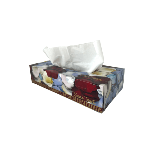 Tissues 100's
